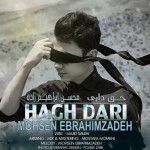 Mohsen-Ebrahimzadeh-Hagh-Dari