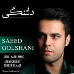 متن آهنگ جدید دلتنگی از سعید گلشنی